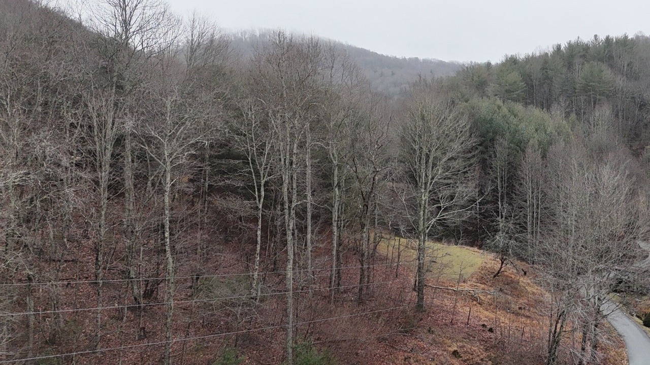 Photo of Others in Mountain City
