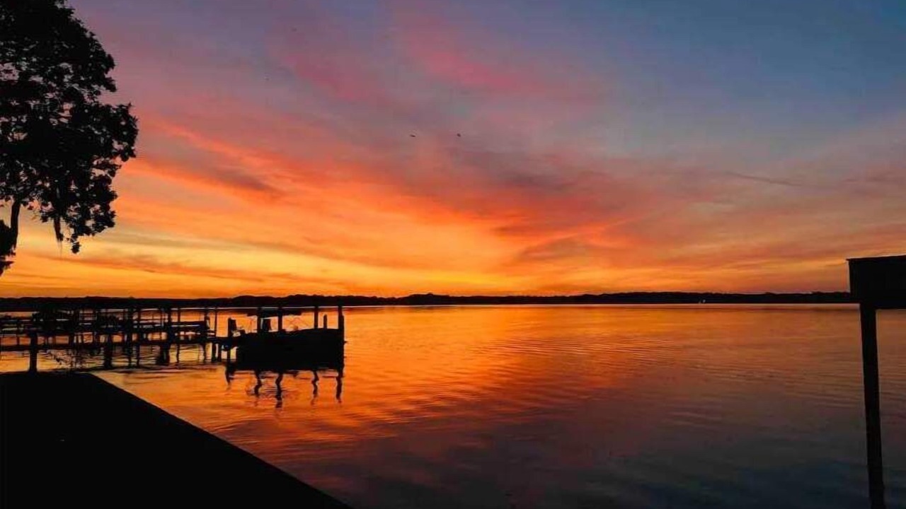 Photo of Others in Tarpon Springs