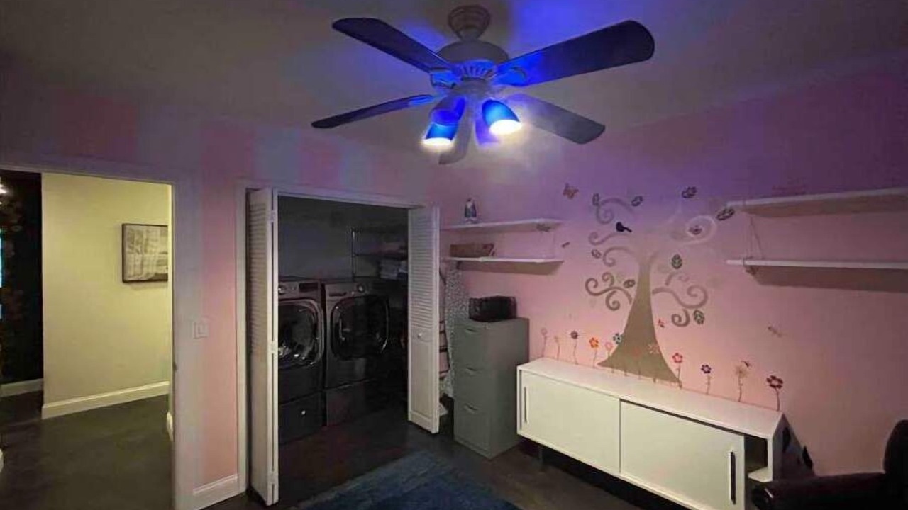 Photo of Others in Tarpon Springs