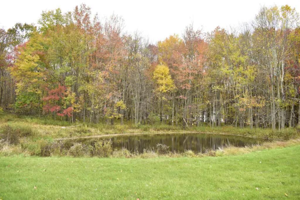 Photo of Others in Mount Hope