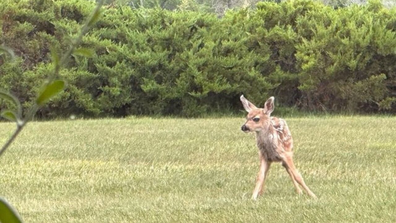 Photo of Others in Hot Springs