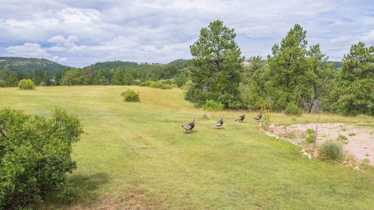 Photo of Others in Hot Springs