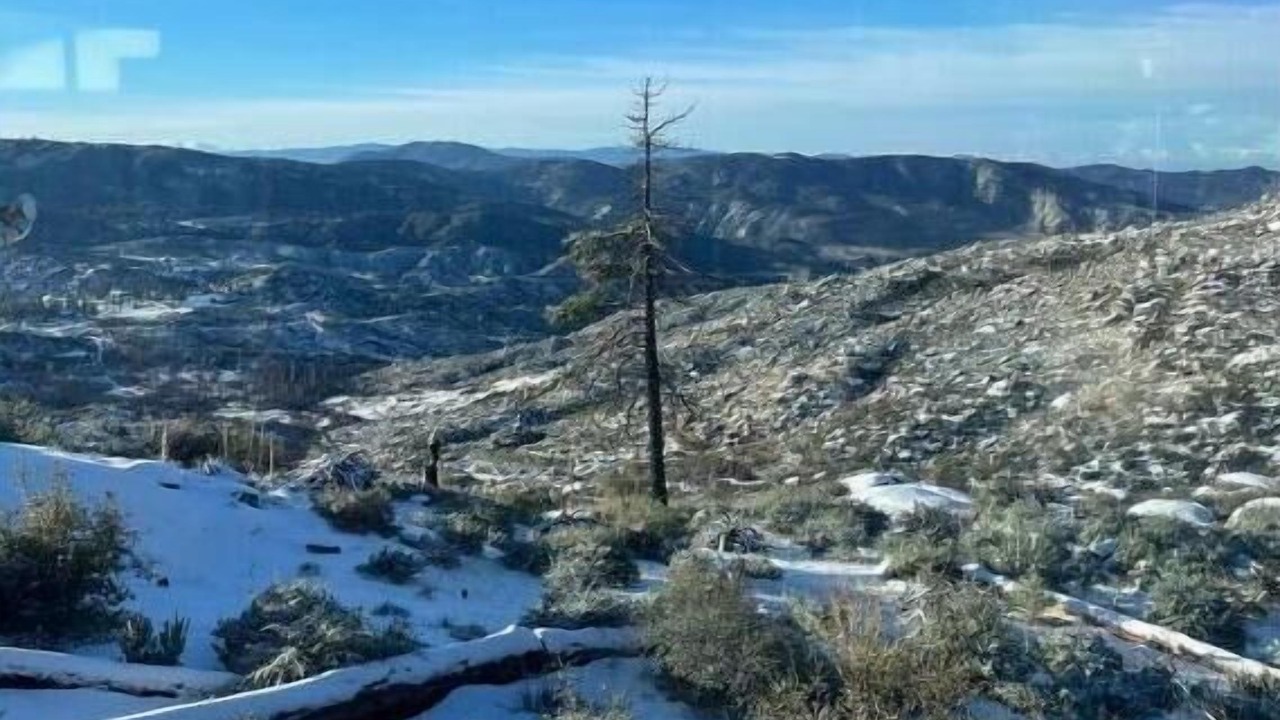Photo of Others in Idyllwild