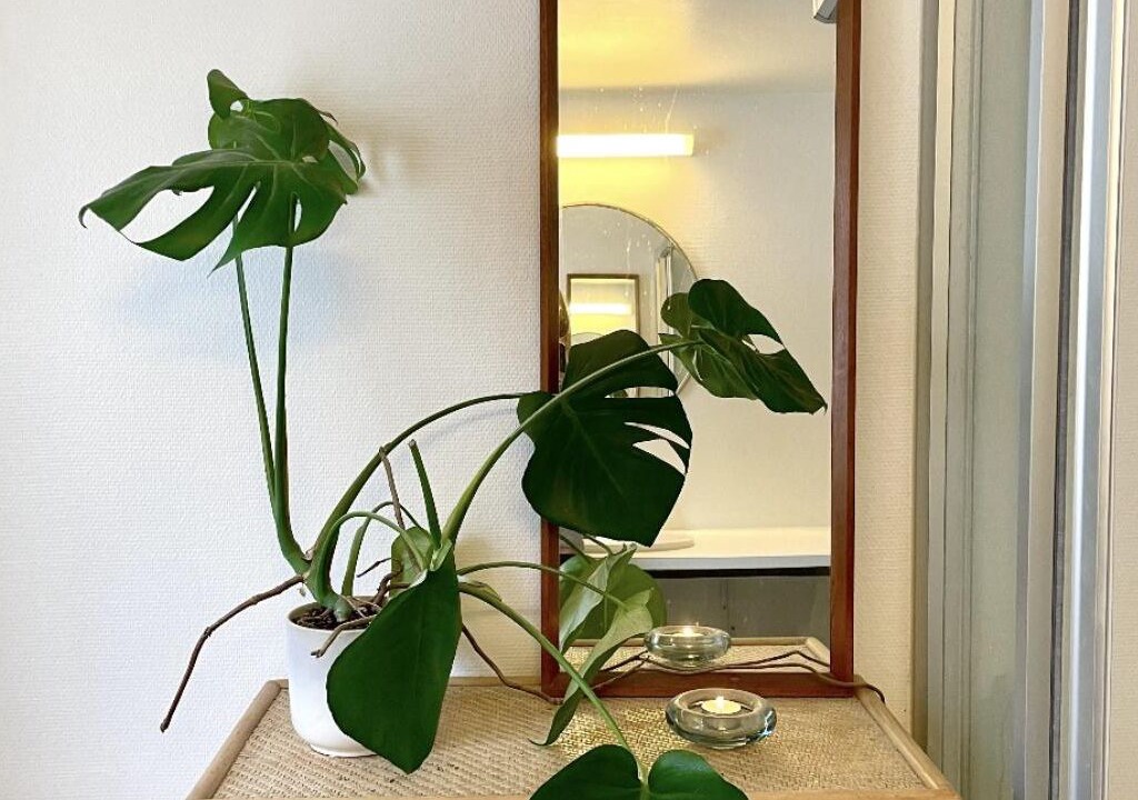 Photo of Others in Copenhagen City Centre