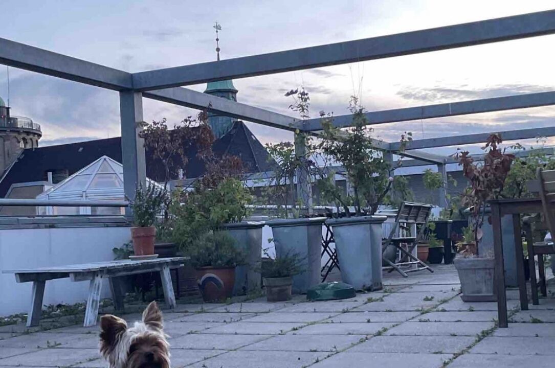 Photo of Outdoor in Copenhagen City Centre