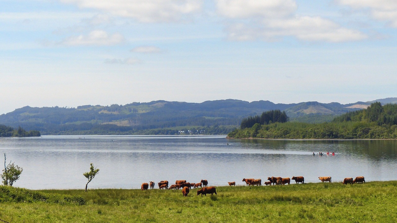 Photo of Others in Dalmally