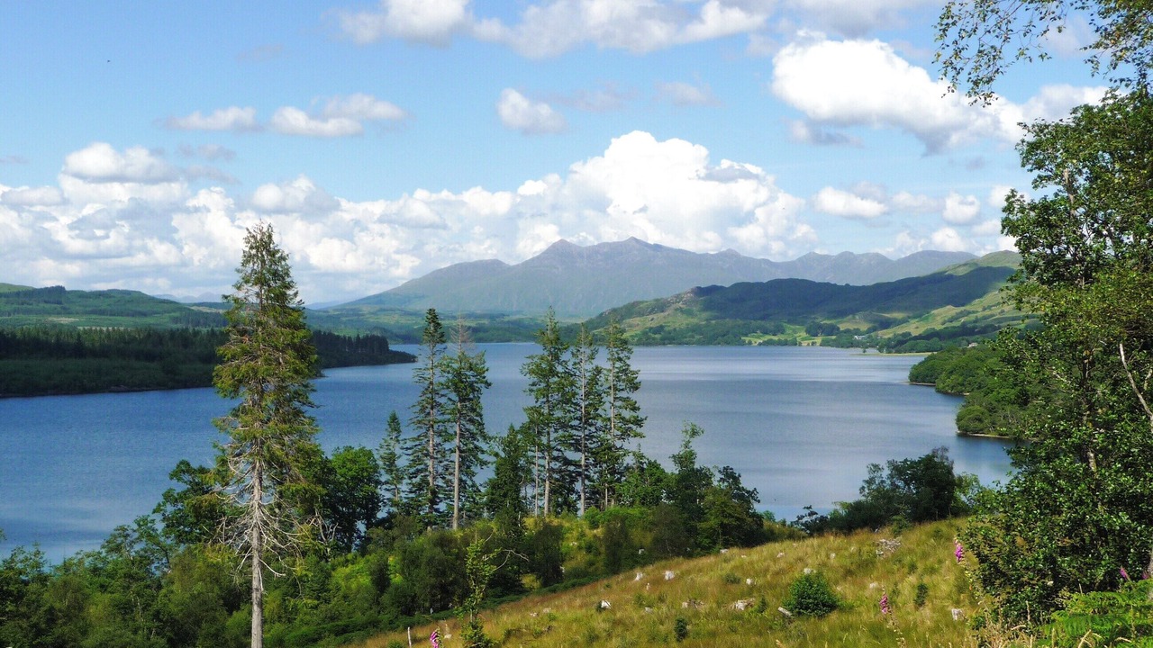 Photo of Others in Dalmally