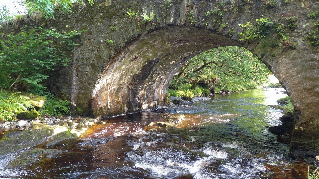 Photo of Others in Dalmally