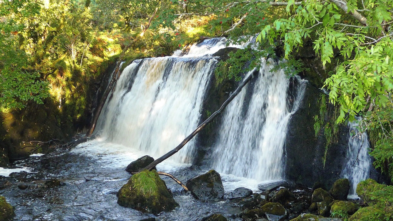 Photo of Others in Dalmally