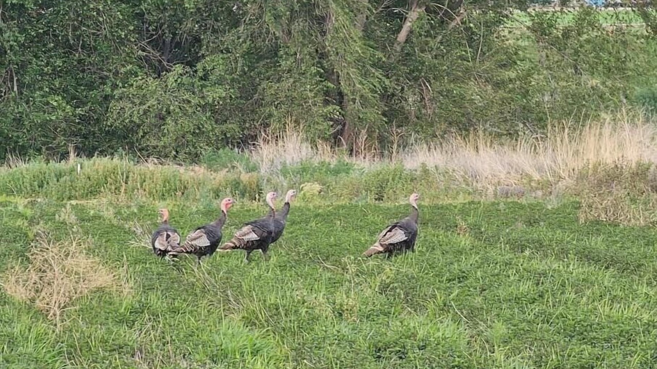 Photo of Others in Canyon County