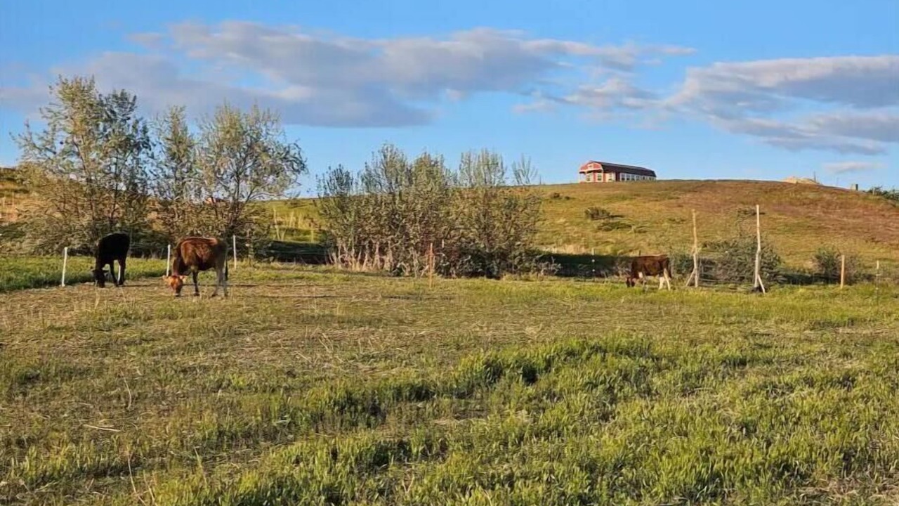 Photo of Outdoor in Canyon County