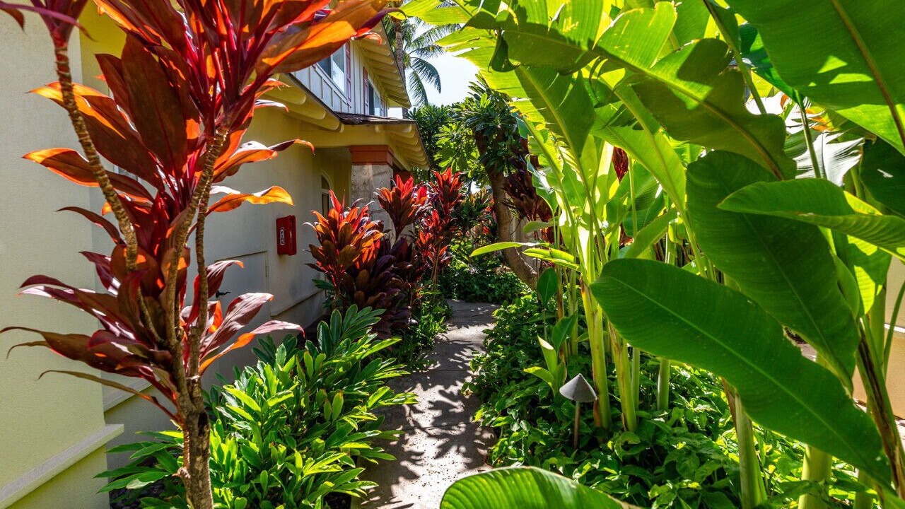 Photo of Others in Ko Olina