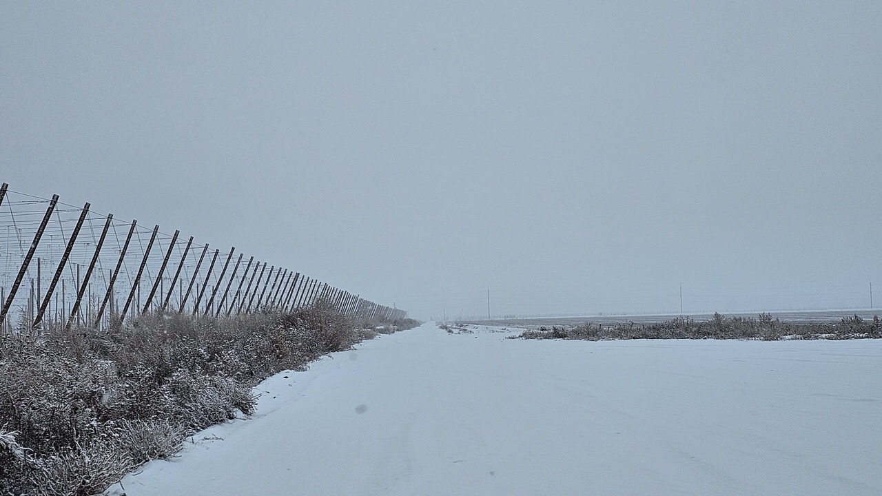 Photo of Others in Canyon County