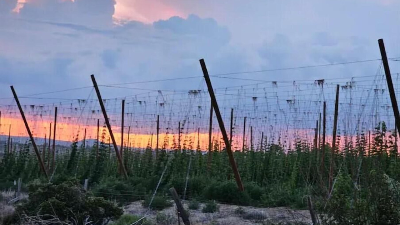 Photo of Outdoor in Canyon County