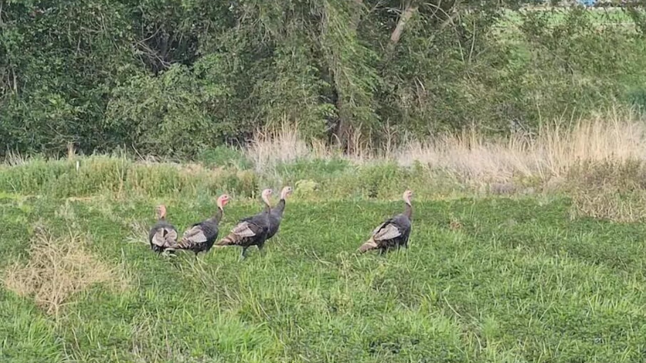 Photo of Others in Canyon County