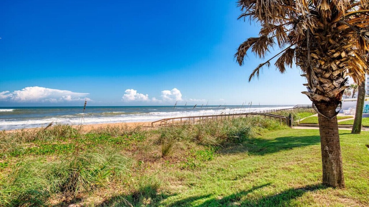 Photo of Others in O'byrne