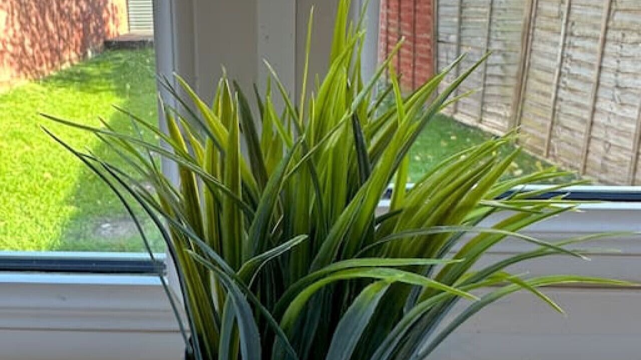 Photo of Others in North Moreton