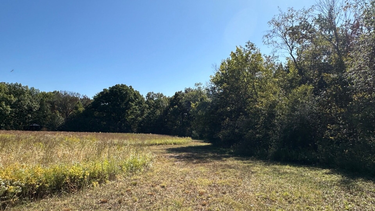 Photo of Outdoor in Flora