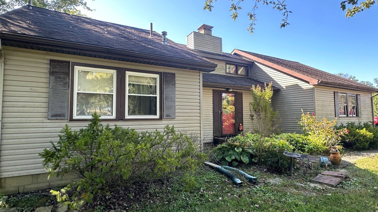 Photo of Outdoor in Flora