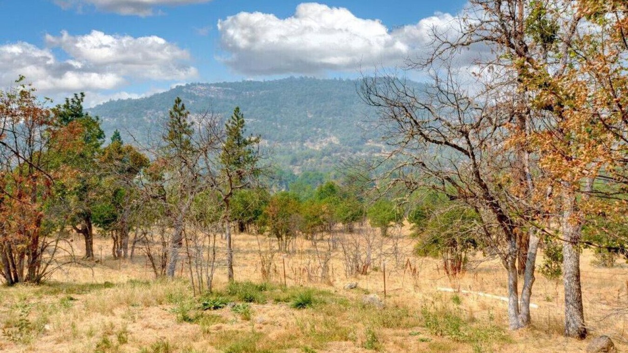 Photo of Others in Eagle Point