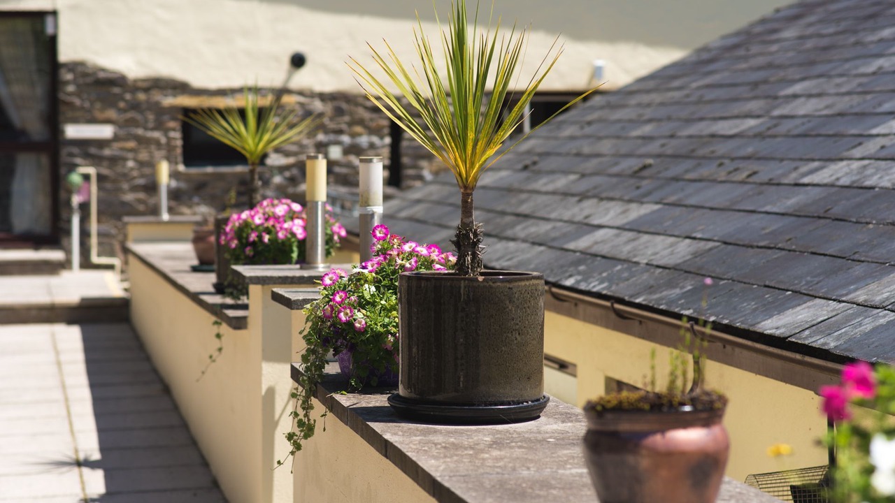 Photo of Outdoor in West Down