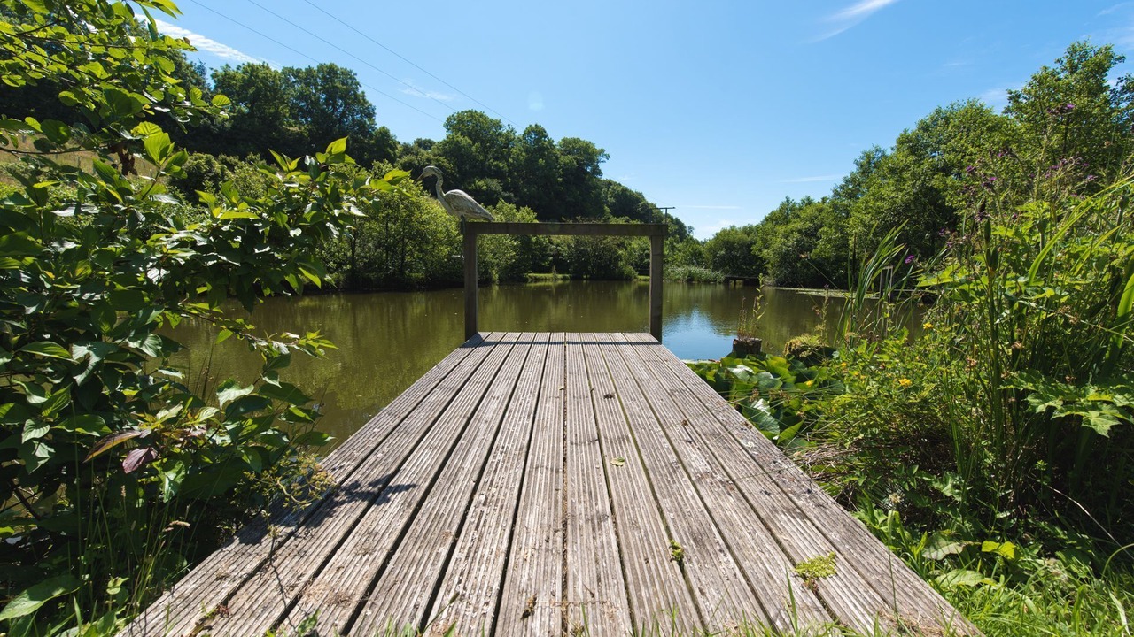 Photo of Others in West Down
