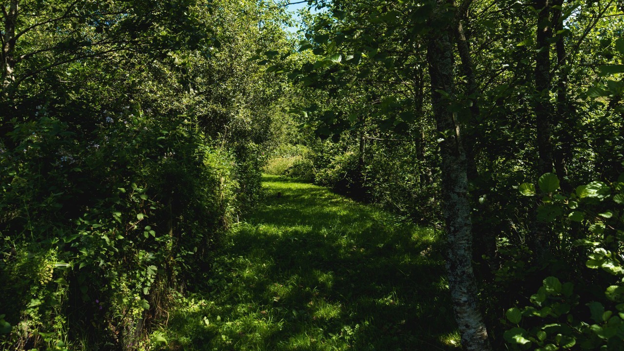 Photo of Outdoor in West Down