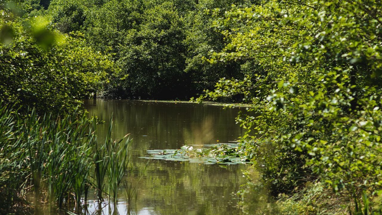 Photo of Others in West Down
