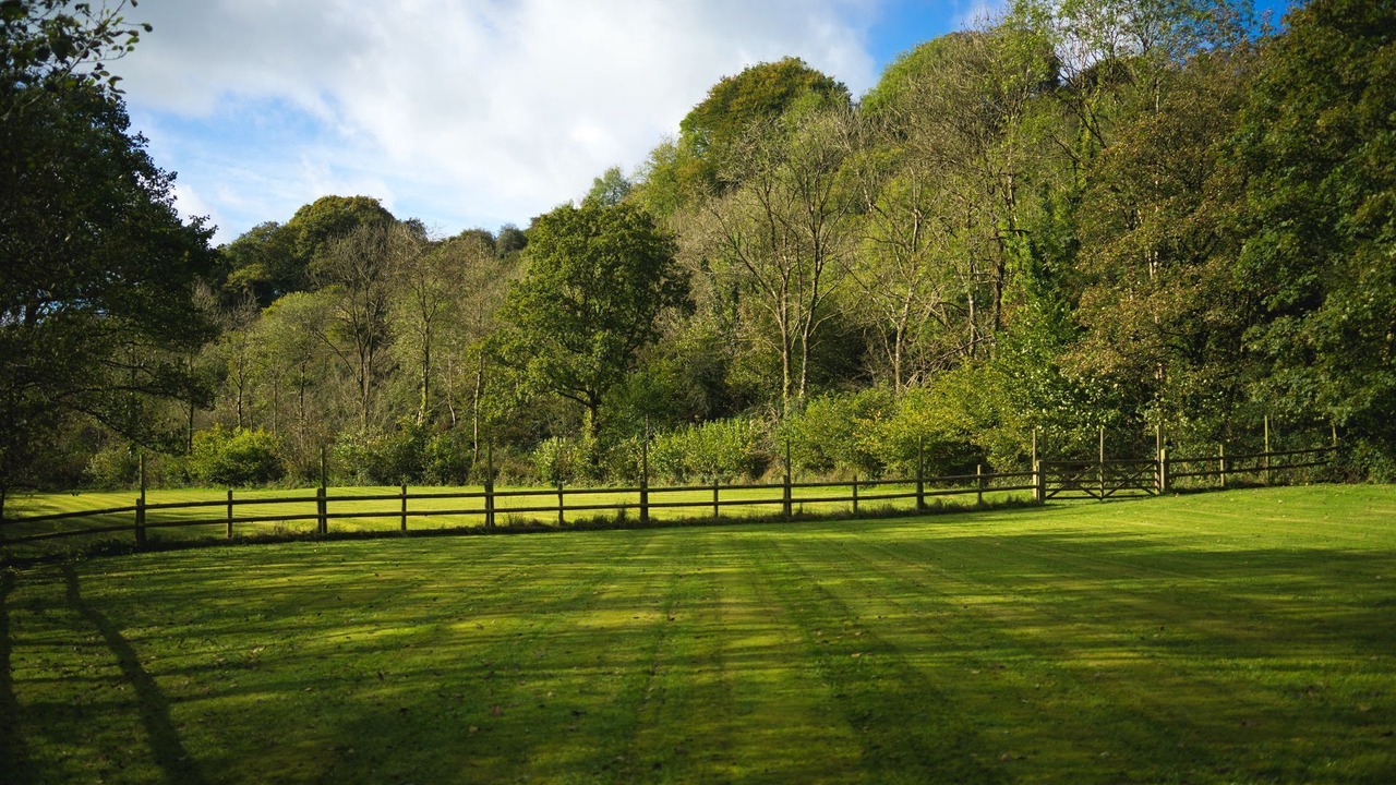 Photo of Others in West Down