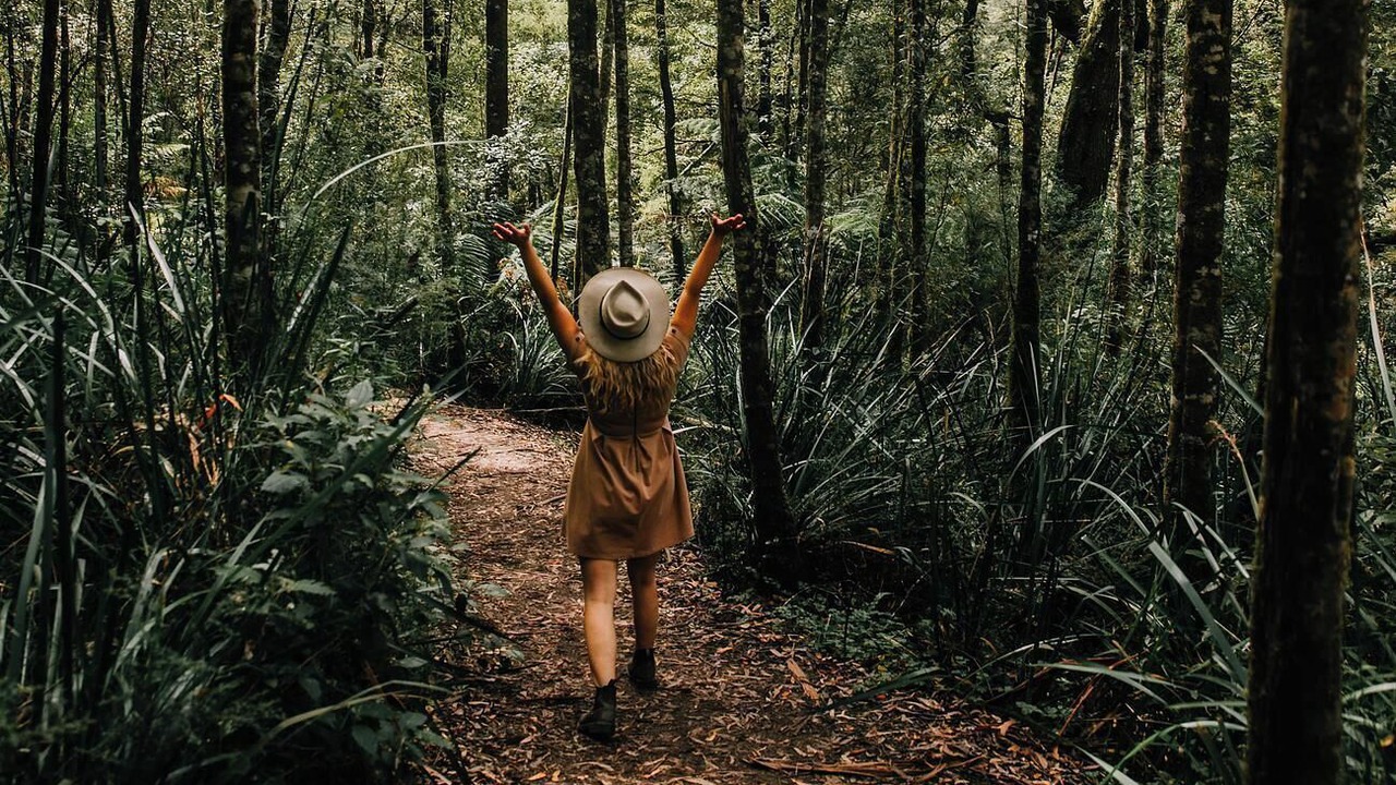 Photo of Others in Hordern Vale