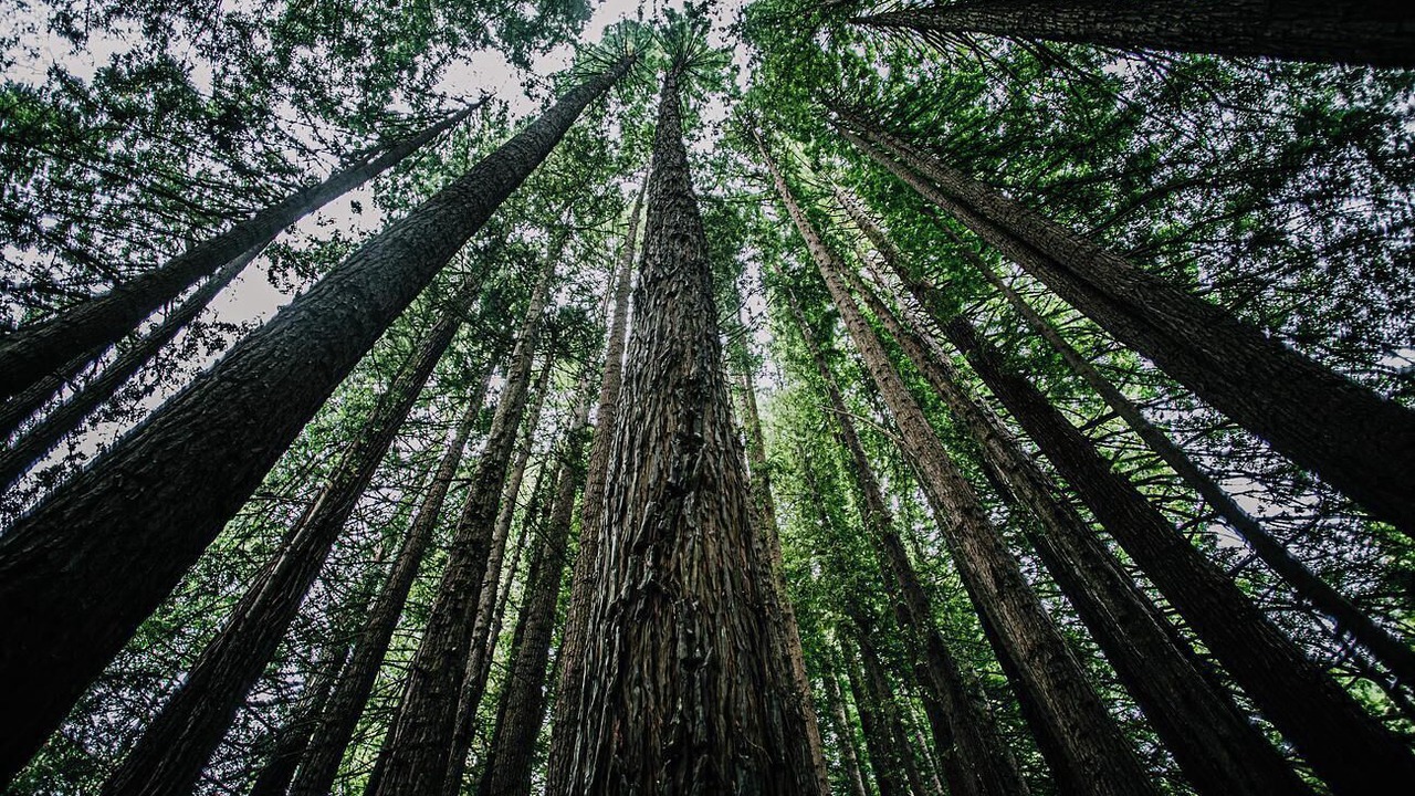 Photo of Others in Hordern Vale