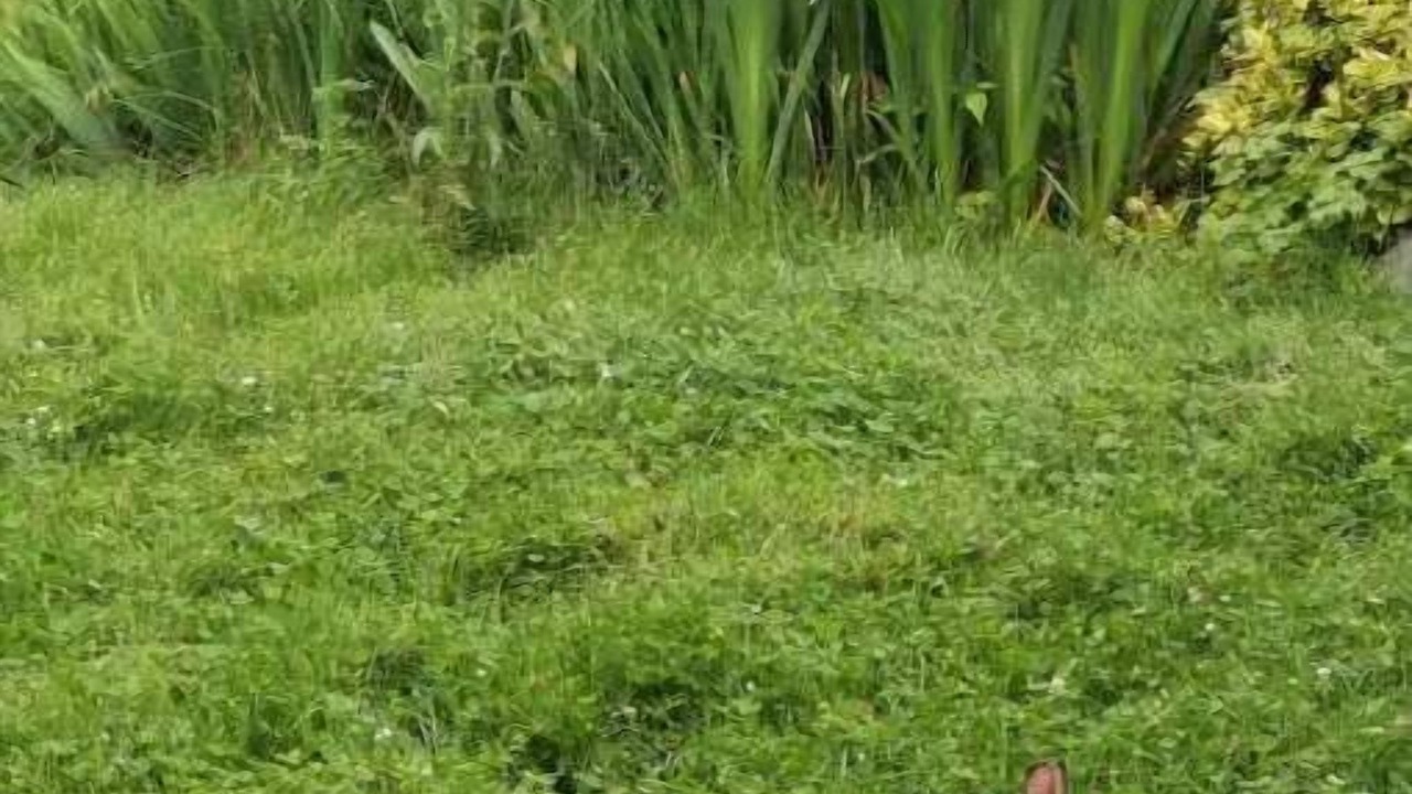 Photo of Outdoor in Halifax County