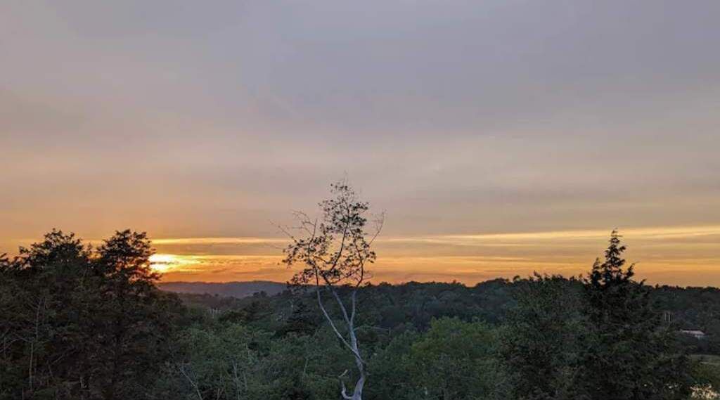 Photo of Others in Halifax County