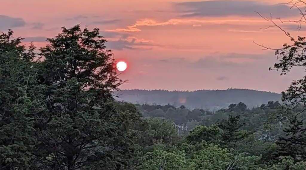 Photo of Others in Halifax County