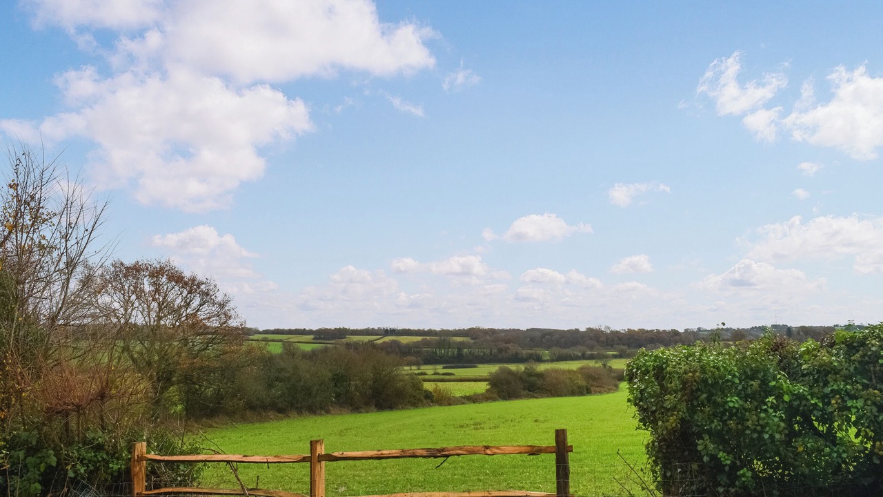 Photo of Others in Cowbeech