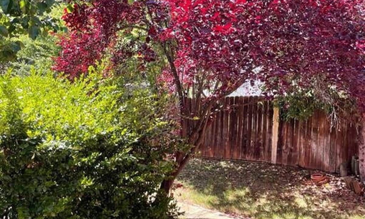 Photo of Outdoor in North Auburn