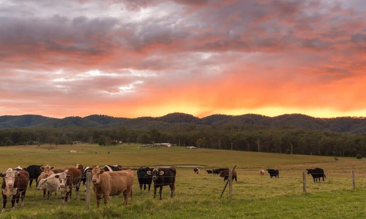 Photo of Others in Markwell