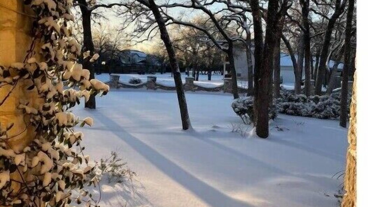 Photo of Outdoor in Manchaca