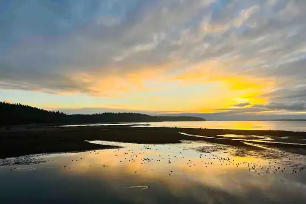 Photo of Others in Port Hadlock