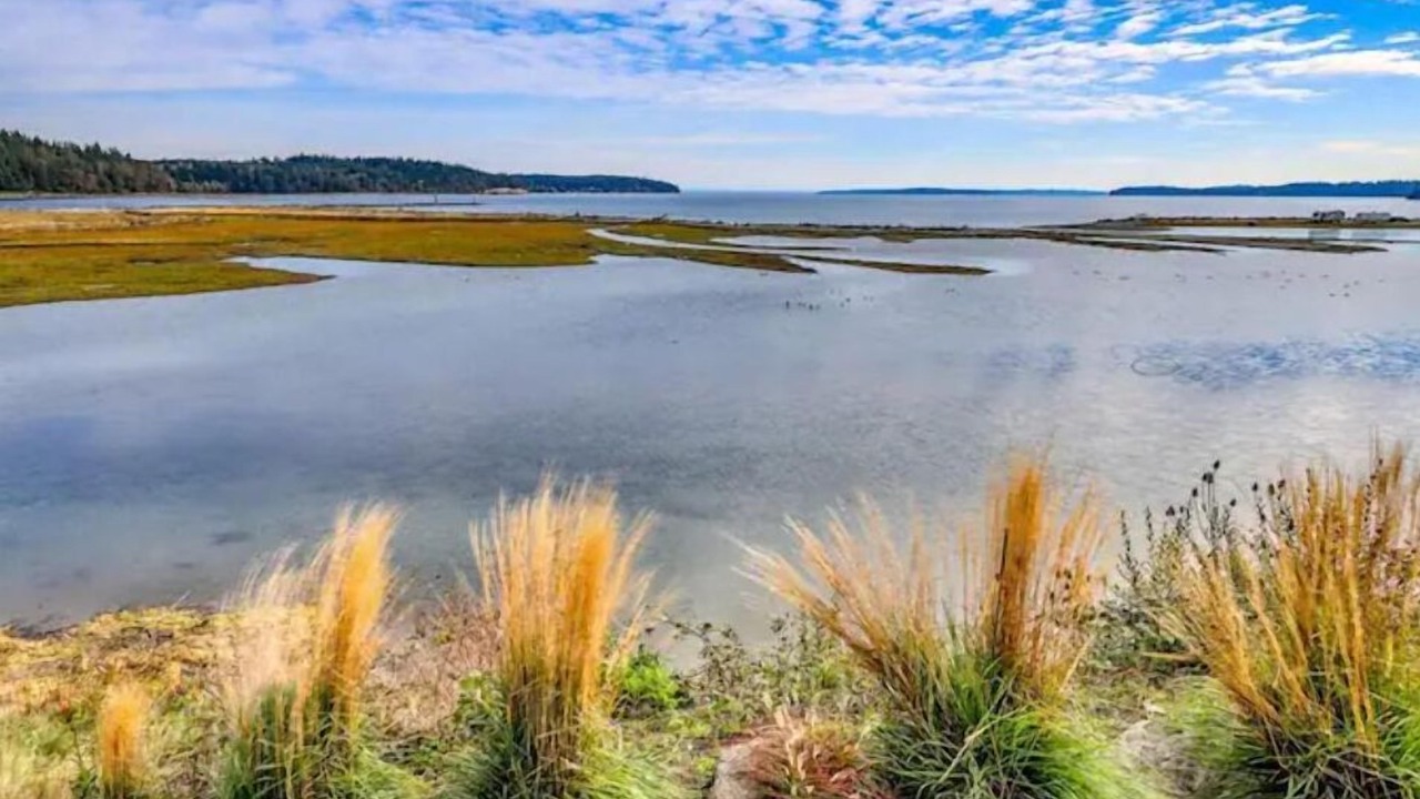 Photo of Others in Port Hadlock