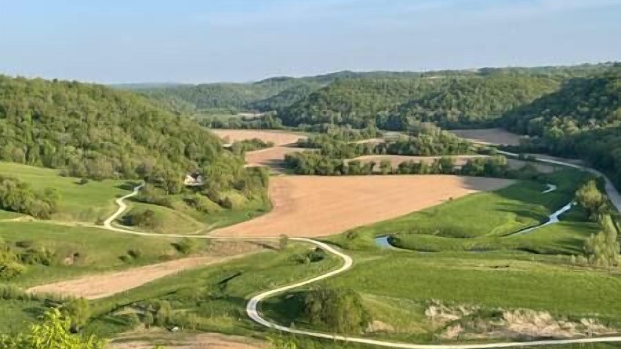 Photo of Others in Woodman