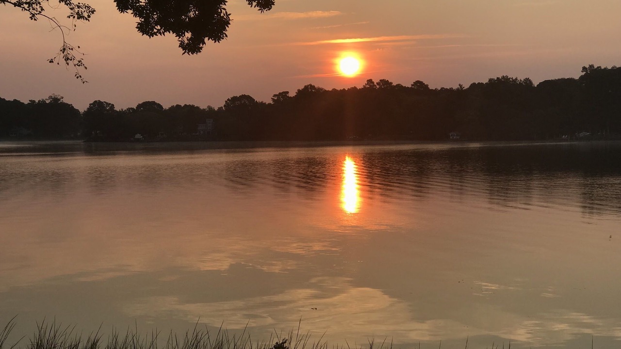 Photo of Others in Unionville