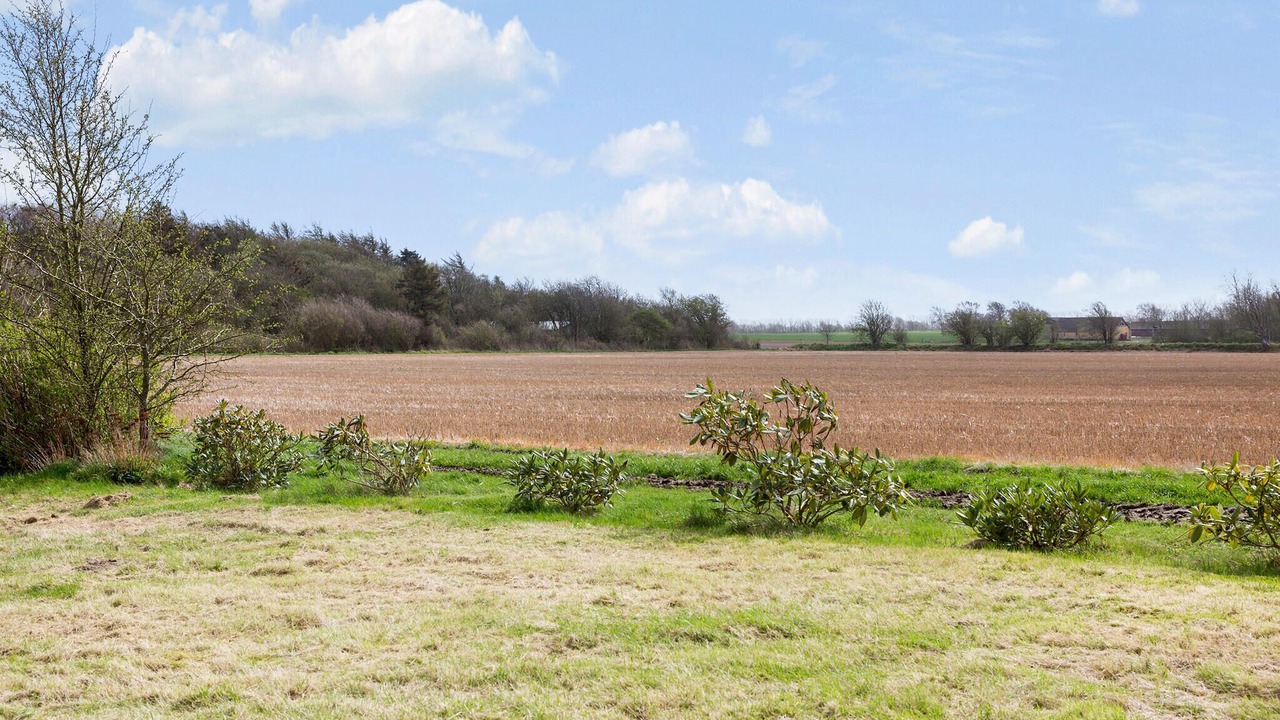 Photo of Others in Thyholm