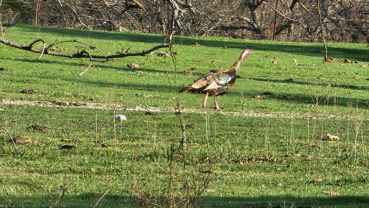 Photo of Others in Alvord