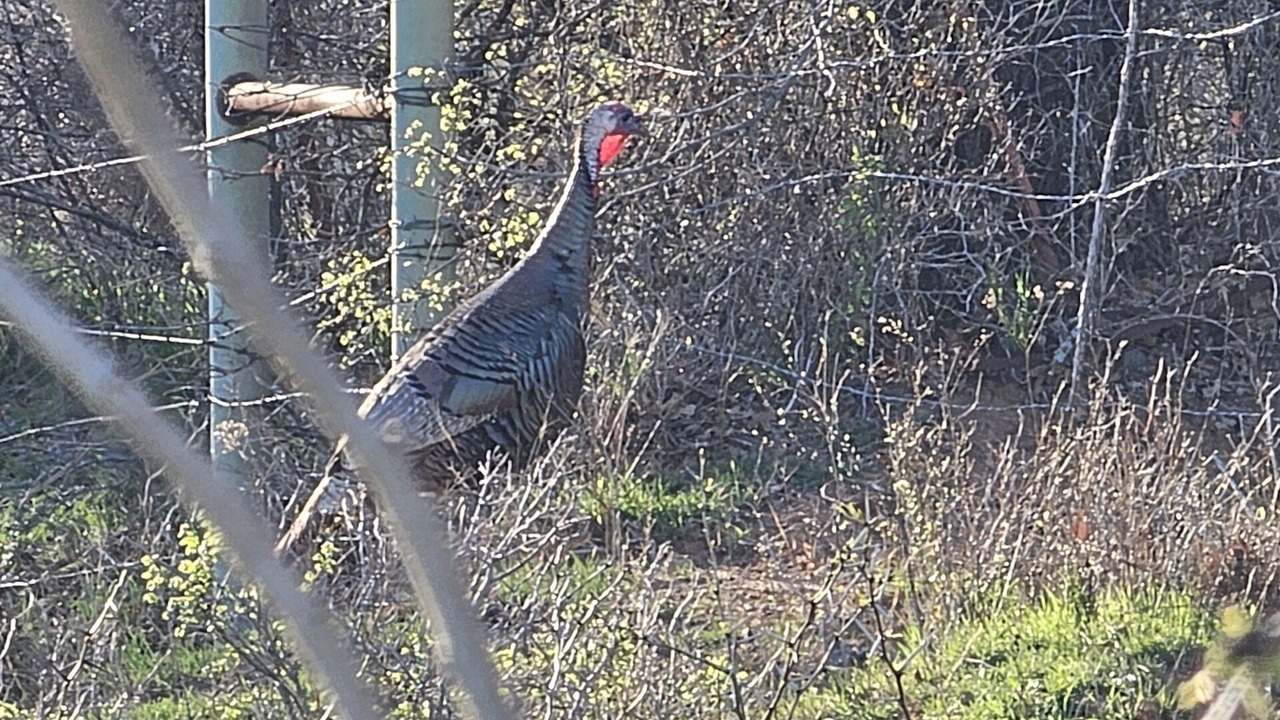 Photo of Others in Alvord