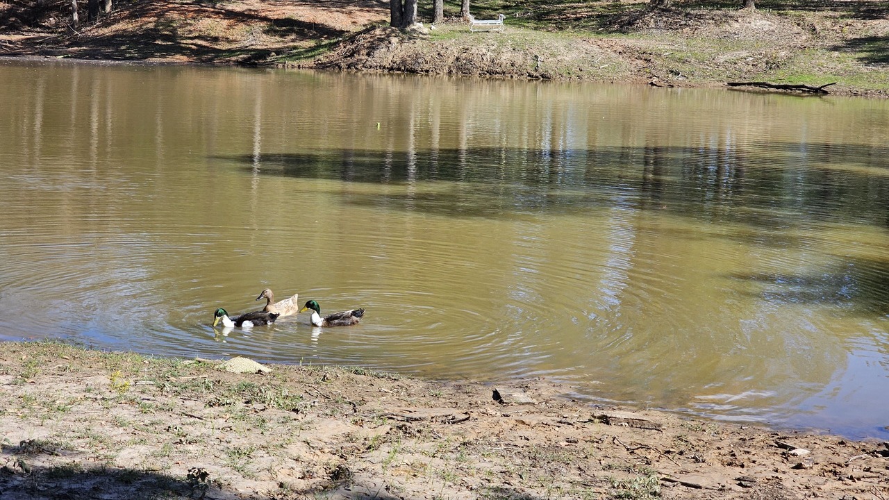 Photo of Outdoor in Alvord