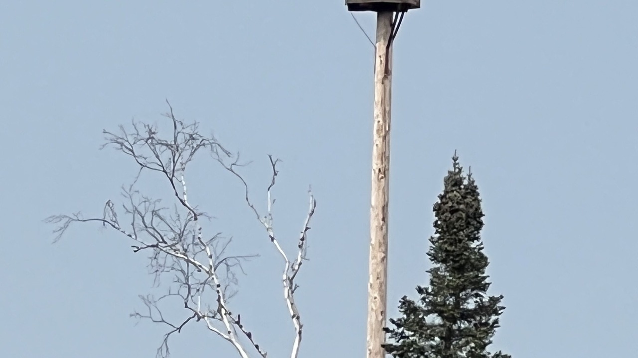 Photo of Outdoor in Cable