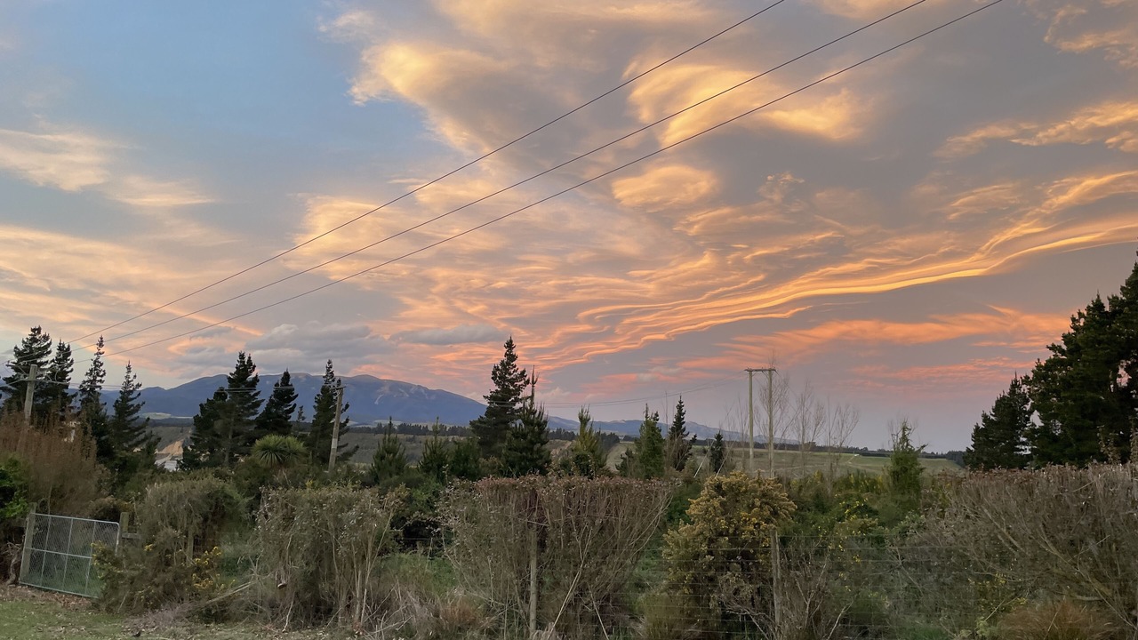 Photo of Others in Springfield