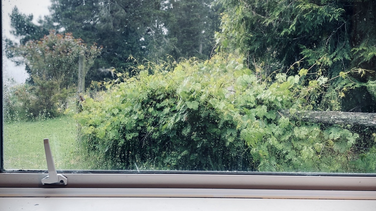 Photo of Others in Springfield