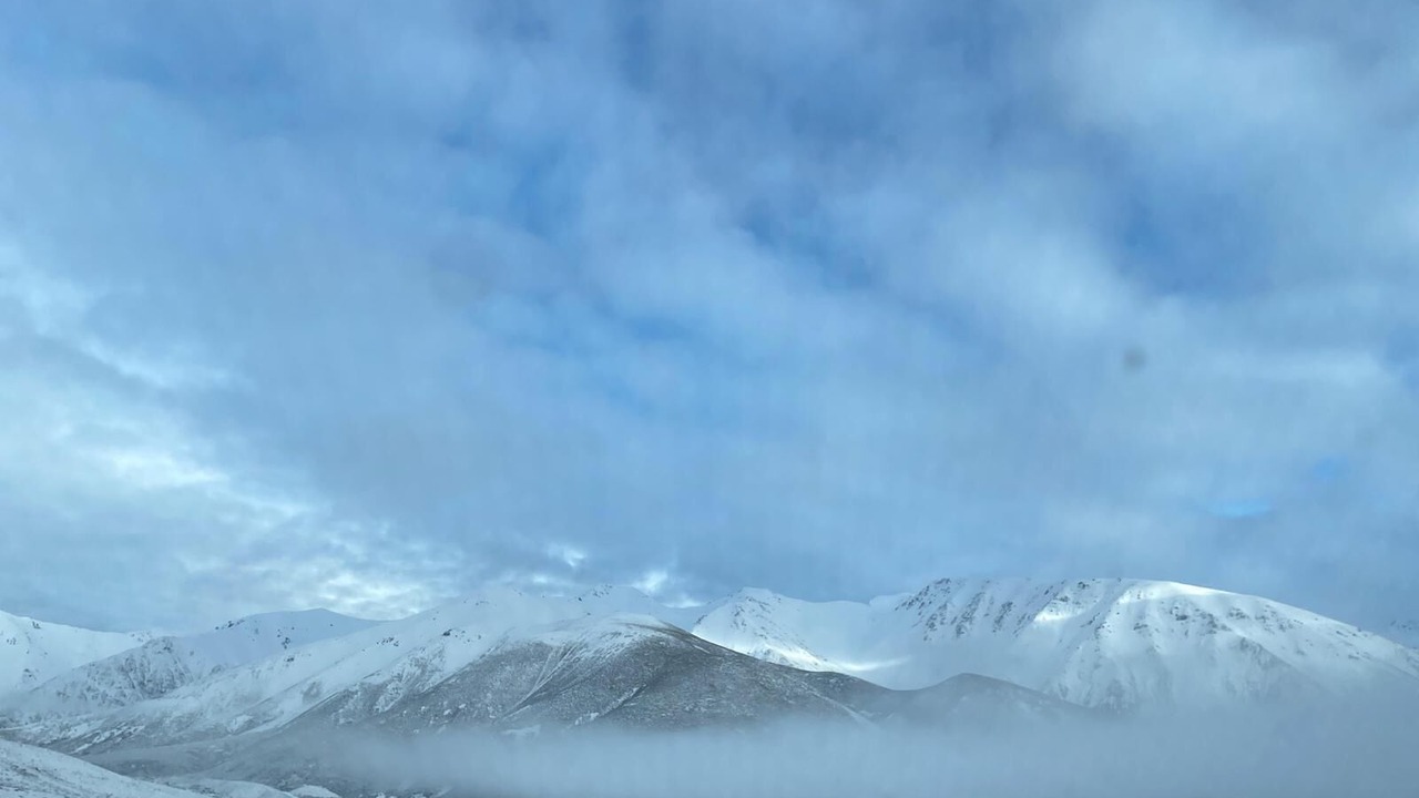 Photo of Others in Springfield